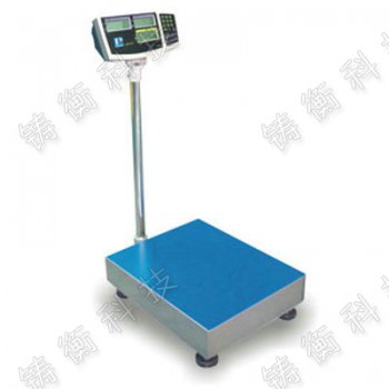 計數(shù)電子臺稱