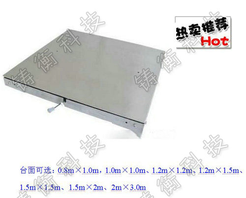 電子平臺(tái)秤